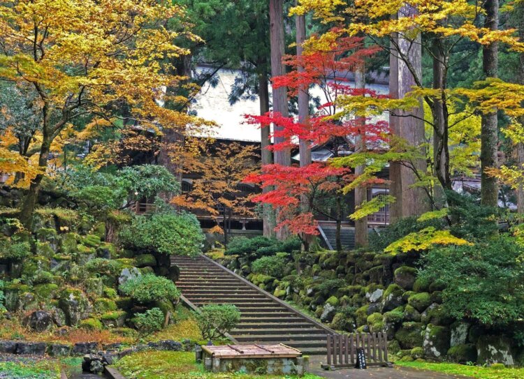 福井でおしゃれな入園入学・卒園卒業写真が撮影できるスタジオ9選!スタジオの選び方も解説2