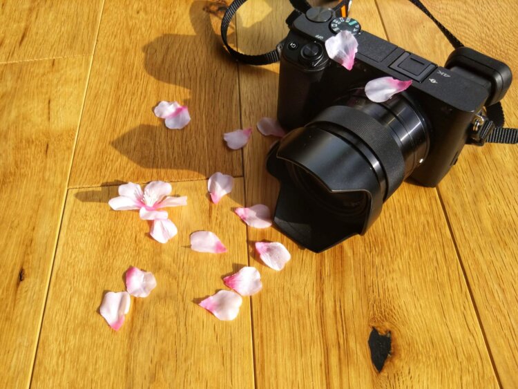 入学写真の前撮りっていつ撮るの?撮影方法とともに解説5