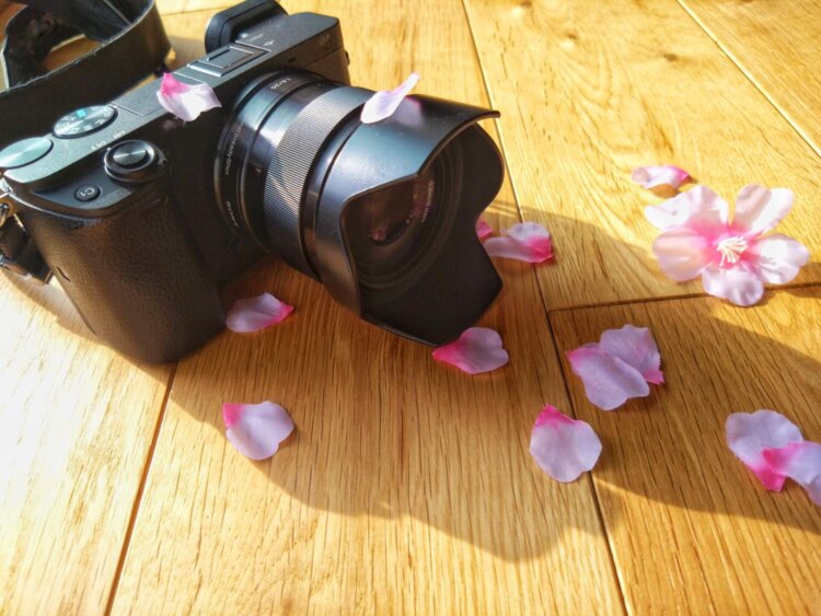 自宅で入学写真を撮影できる!撮影のコツやおすすめの小物も紹介6