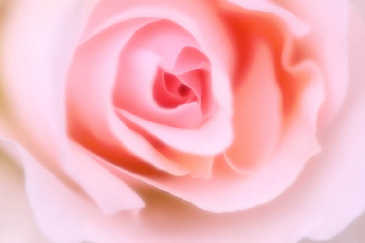 就活写真のメイクにはどんなチークがいいの?おすすめの色や種類を紹介!5