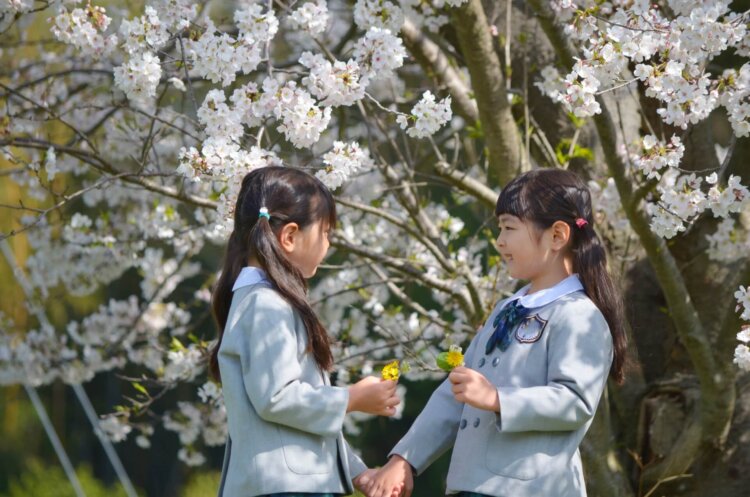 兄弟・姉妹で入学写真を撮影したい!おすすめの服装や注意点も解説9