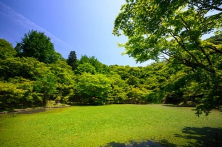 【女性の婚活お見合い写真】成功率を上げる戦略的な撮り方をプロが徹底解説3