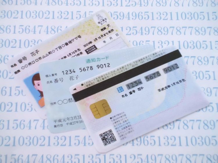 マイナンバー写真は加工しても大丈夫?加工の際の注意点を解説2