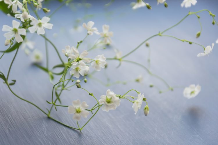 成人式写真の髪飾りは決まった?振袖に似合うおすすめの人気髪飾りまとめ10
