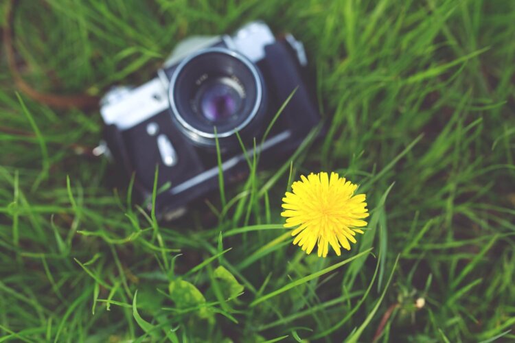 富山県で子供の七五三撮影におすすめ写真スタジオ10選