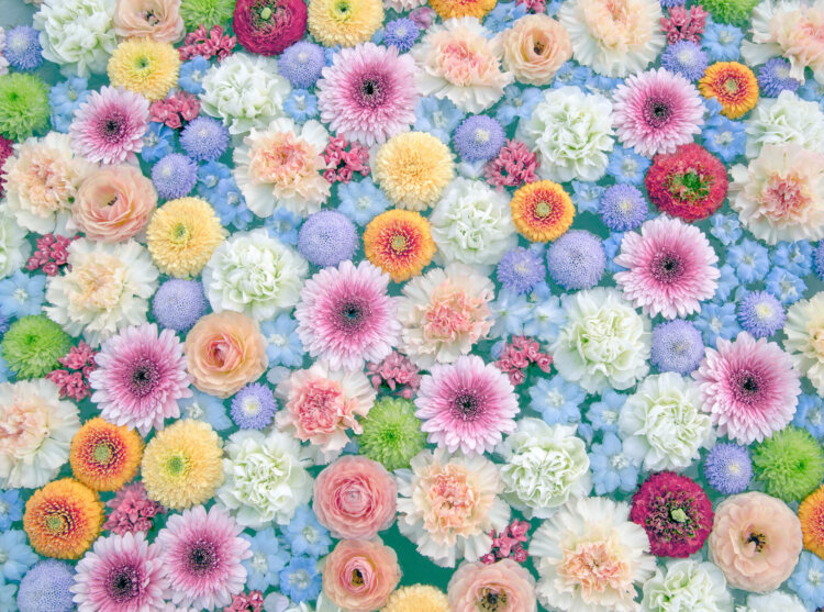 遺影写真を飾る花のおすすめは?種類から色まで紹介12