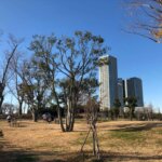 二子玉川にある七五三写真におすすめの写真スタジオ6選28