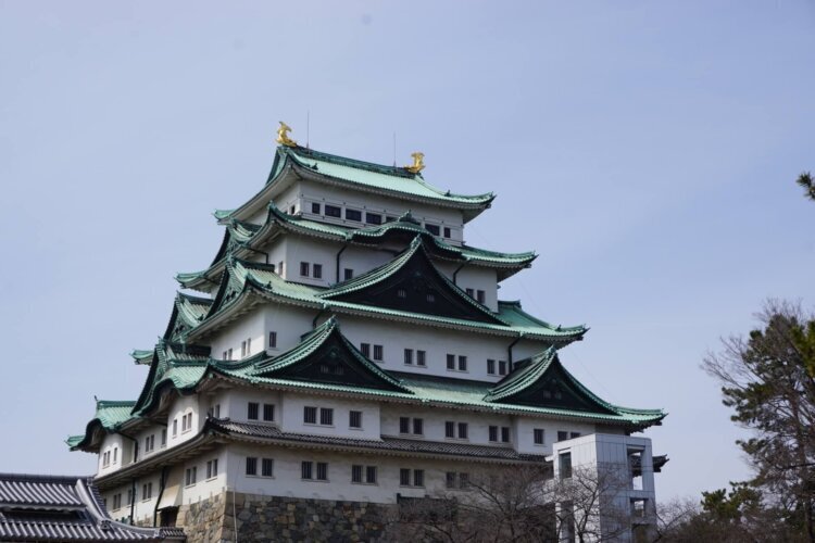 名古屋でバースデーフォトをおしゃれに撮れるおすすめスタジオ10選04