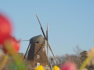 船橋・西船橋でおしゃれなマタニティフォトが撮影できるスタジオ10選3