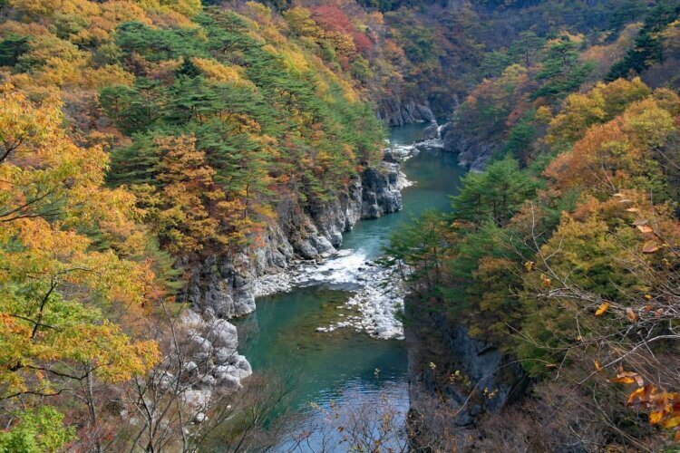 栃木でバースデーフォトをおしゃれに撮れるおすすめスタジオ10選04