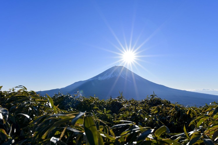 山梨県でおしゃれなマタニティフォトが撮影できるスタジオ10選2