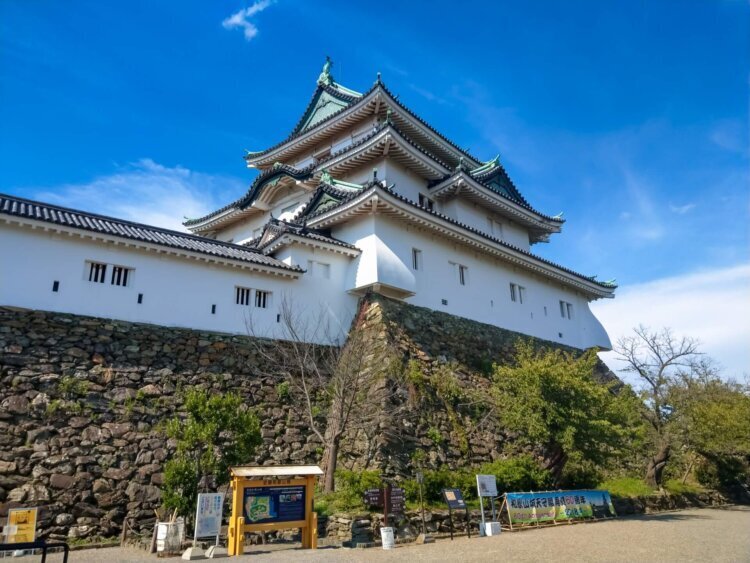 和歌山でバースデーフォトをおしゃれに撮れるおすすめスタジオ10選04