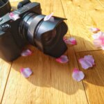 小学・中学の卒業写真の撮り方を徹底解説！撮影方法や服装まで詳しく解説0