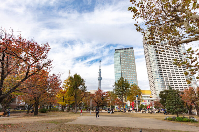 錦糸町でおしゃれな入園入学・卒園卒業写真が撮影できるスタジオ8選!スタジオの選び方も解説