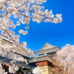 長野でバースデーフォトをおしゃれに撮れるおすすめスタジオ10選01