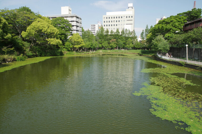 天王寺・あべのでおしゃれな入園入学・卒園卒業写真が撮影できるスタジオ8選!スタジオの選び方も解説