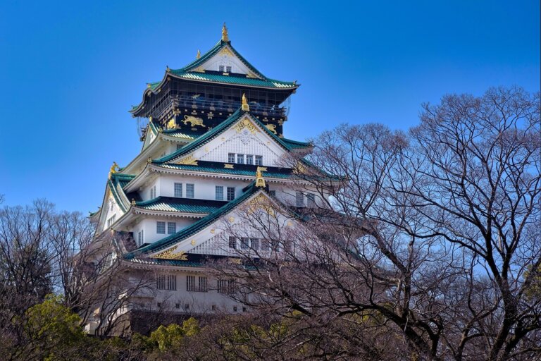 堺でおしゃれな入園入学・卒園卒業写真が撮影できるスタジオ10選!スタジオの選び方も解説