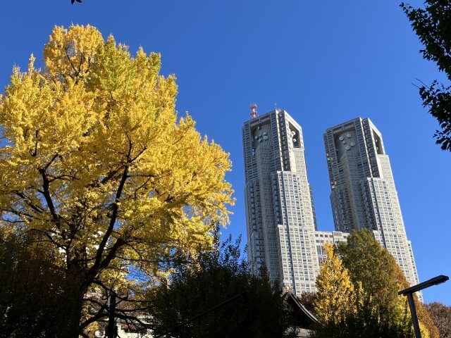 新宿のお食い初め記念写真撮影におすすめな写真館10選03