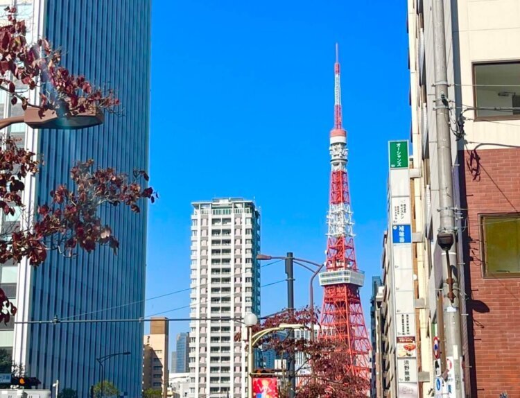 東京都内でおしゃれな入園入学・卒園卒業写真が撮影できるスタジオ11選!スタジオの選び方も解説06