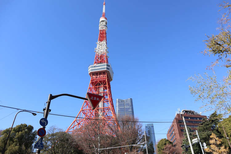 東京都内でおしゃれな100日祝い(お食い初め)写真が撮影できるスタジオ8選!スタジオの選び方も解説4