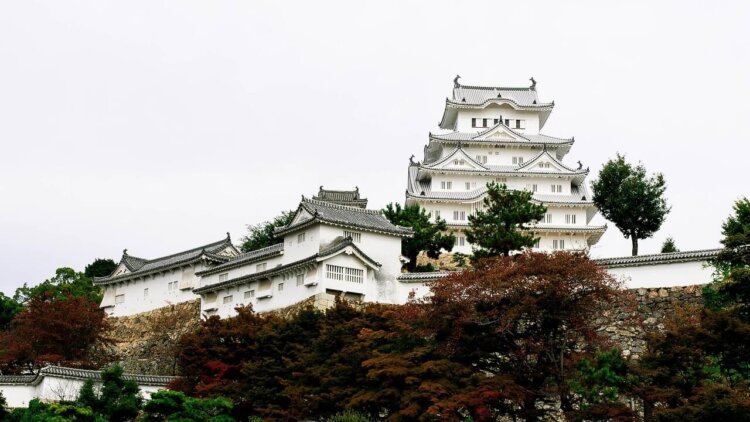 兵庫でおしゃれな入園入学・卒園卒業写真が撮影できるスタジオ10選!スタジオの選び方も解説3