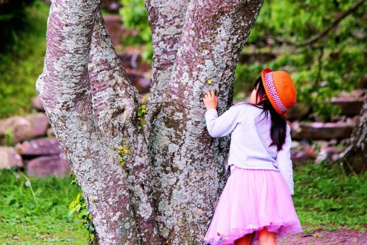 入園写真の撮り方を徹底解説!入園写真のおすすめ撮影時期や撮影方法を解説5