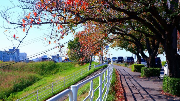 流山おおたかの森でおしゃれな入園入学・卒園卒業写真が撮影できるスタジオ5選!スタジオの選び方も解説6