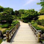 堺のお食い初め記念写真撮影におすすめな写真館8選01