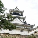 高知でバースデーフォトをおしゃれに撮れるおすすめスタジオ9選01