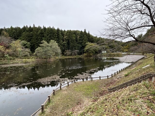 新潟でおしゃれな入園入学・卒園卒業写真が撮影できるスタジオ13選！スタジオの選び方も解説01