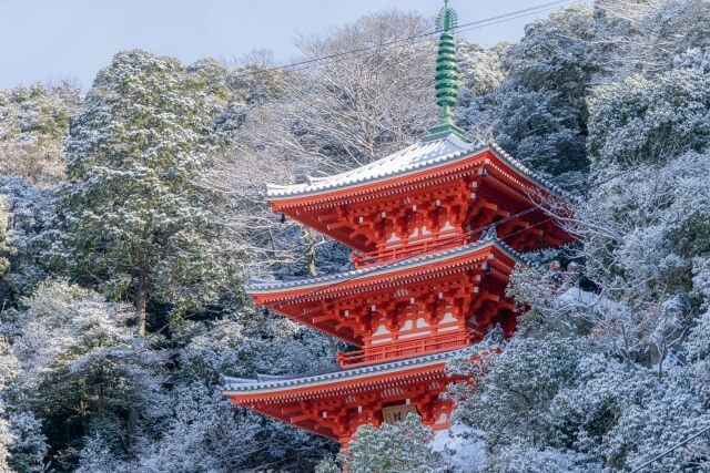 岐阜でおしゃれな入園入学・卒園卒業写真が撮影できるスタジオ12選!スタジオの選び方も解説01