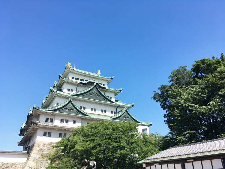 名古屋でおしゃれな入園入学・卒園卒業写真が撮影できるスタジオ10選!スタジオの選び方も解説2