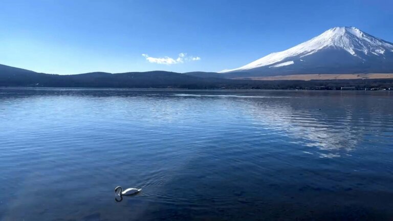 山梨でおしゃれな入園入学・卒園卒業写真が撮影できるスタジオ10選!スタジオの選び方も解説