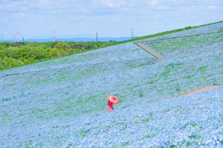 茨城でおしゃれな入園入学・卒園卒業写真が撮影できるスタジオ10選!スタジオの選び方も解説