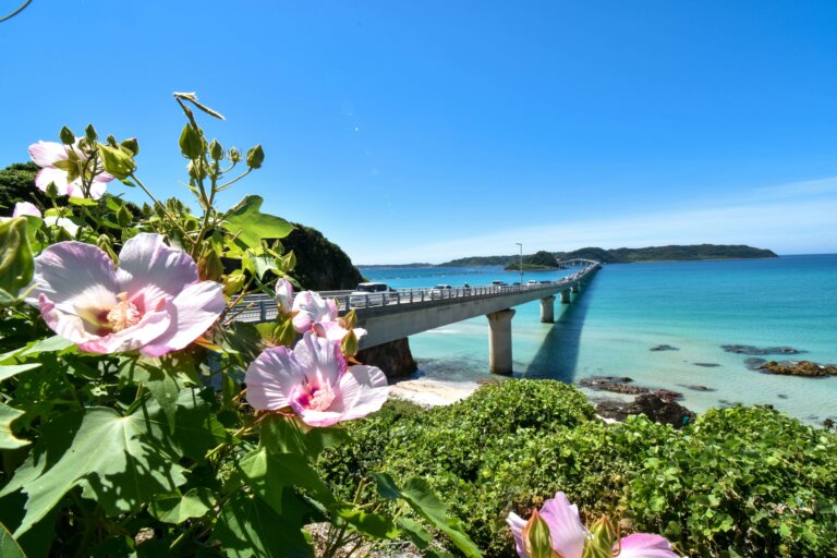 山口でおしゃれな入園入学・卒園卒業写真が撮影できるスタジオ10選!スタジオの選び方も解説
