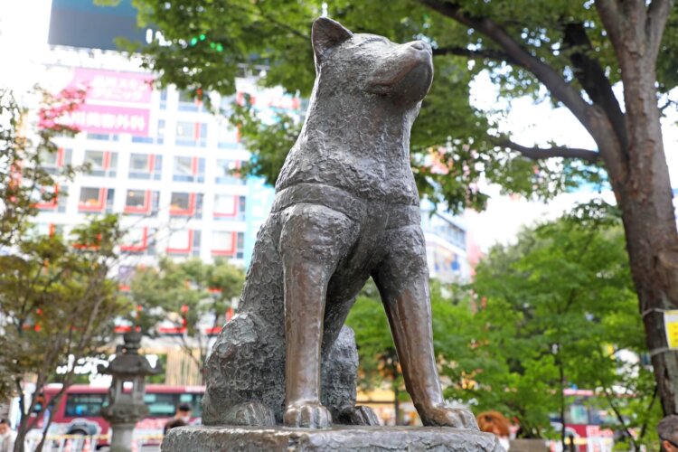 渋谷にある1/2成人式写真の撮影におすすめな写真館10選12
