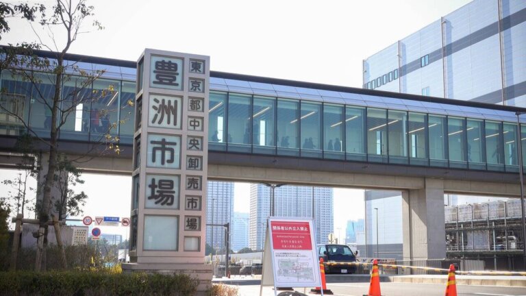 豊洲にある1/2成人式写真の撮影におすすめな写真館3選0